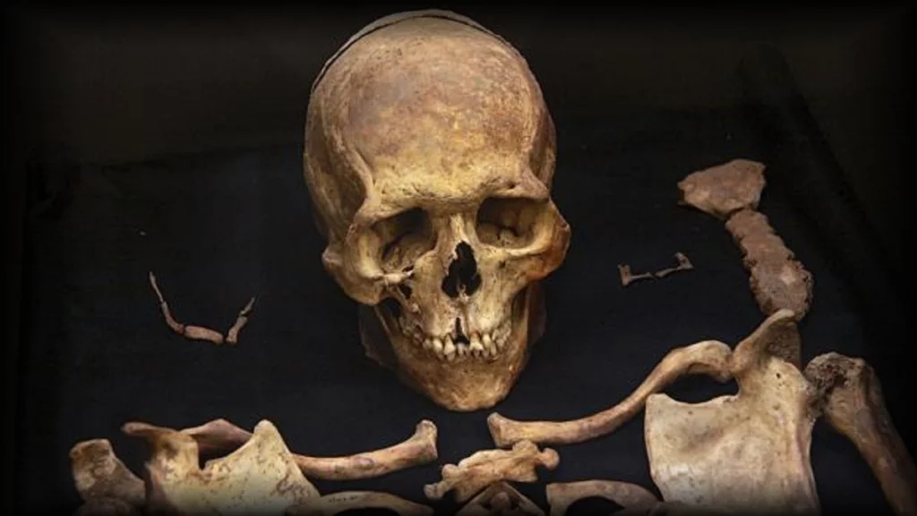 ¿Cuándo es Necesaria la Identificación Forense?