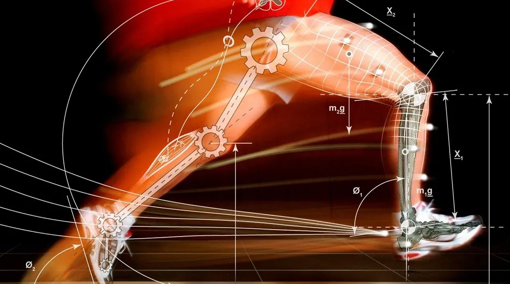 La Biomecánica del Trauma: El estudio de las lesiones y su importancia en casos legales