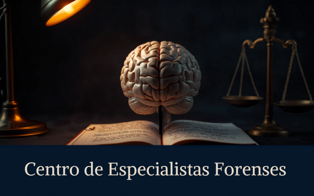 Psiquiatría forense en violencia, imputabilidad y evaluación del estado mental
