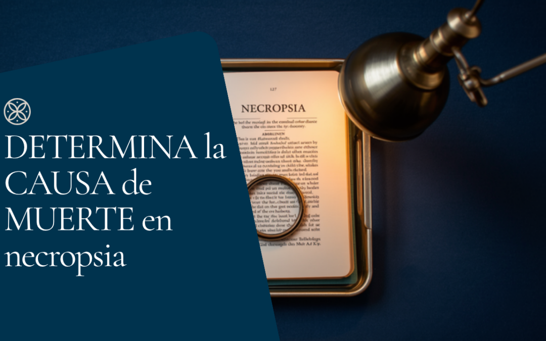 ¿Cómo se determina la causa de muerte en una necropsia médico legal?
